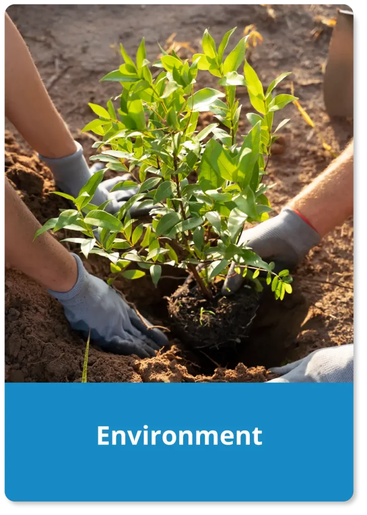 Planting trees to combat climate change A Rotary Foundation (India) environmental project