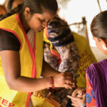 World Organ Donation Day