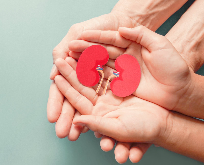 Organ donation jpg